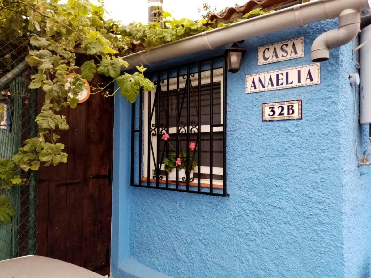 Casa Anaelia Villa La Orotava Dış mekan fotoğraf