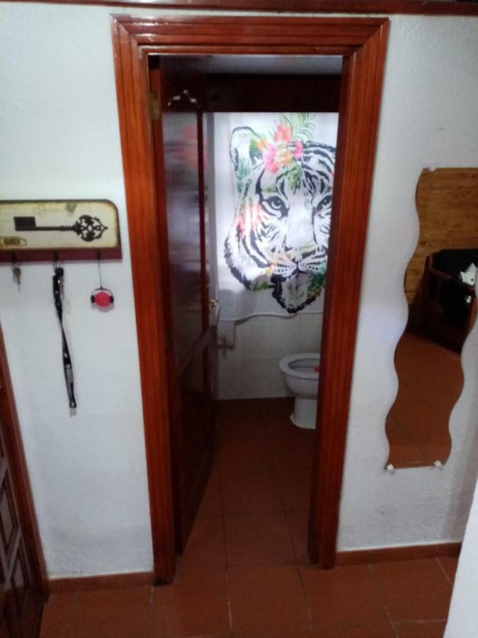 Casa Anaelia Villa La Orotava Dış mekan fotoğraf