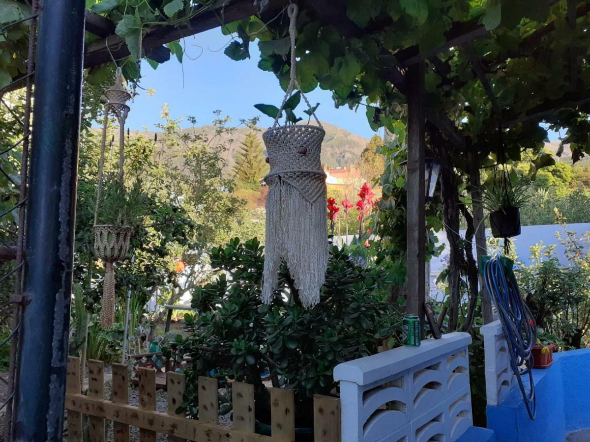Casa Anaelia Villa La Orotava Dış mekan fotoğraf